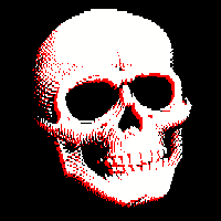 skull